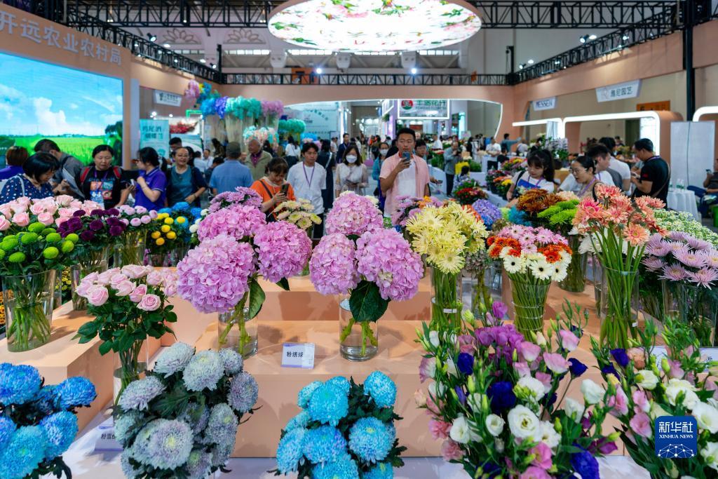 顶级现金娱乐